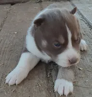 processed/b3855e0e-d49e-4cb9-92c8-9dc77e208558/listing/a4bd3cff-aca8-4556-937e-9e952ea9d8bc/a279fd9b-06d7-4341-8b35-72fc1c4a85ba