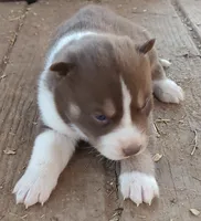 processed/b3855e0e-d49e-4cb9-92c8-9dc77e208558/listing/a4bd3cff-aca8-4556-937e-9e952ea9d8bc/ac5c570f-653b-423d-a9fa-7f374674046b