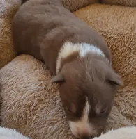 processed/b3855e0e-d49e-4cb9-92c8-9dc77e208558/listing/a4bd3cff-aca8-4556-937e-9e952ea9d8bc/b2694b67-100a-47de-a3f9-3e9c9659545c