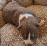 processed/b3855e0e-d49e-4cb9-92c8-9dc77e208558/listing/a4bd3cff-aca8-4556-937e-9e952ea9d8bc/e02e022c-bd1d-456d-8e74-ac2a9901561c