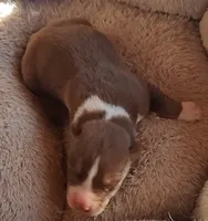 processed/b3855e0e-d49e-4cb9-92c8-9dc77e208558/listing/a4bd3cff-aca8-4556-937e-9e952ea9d8bc/fe6edcc7-f45b-441e-8677-6b16eb5953fa