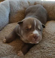 processed/b3855e0e-d49e-4cb9-92c8-9dc77e208558/listing/e012d7dd-5332-479b-b5c1-73b44602d655/013973c4-e623-4359-b4e7-00e7b33c3f02