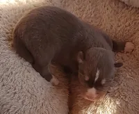 processed/b3855e0e-d49e-4cb9-92c8-9dc77e208558/listing/e012d7dd-5332-479b-b5c1-73b44602d655/05a5c2d7-debb-49f7-898c-a665a9a7e246