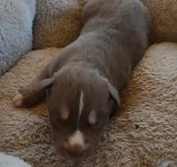 processed/b3855e0e-d49e-4cb9-92c8-9dc77e208558/listing/e012d7dd-5332-479b-b5c1-73b44602d655/432b3a49-d4ab-496a-8fdd-641b4e9eabde