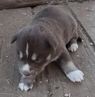 processed/b3855e0e-d49e-4cb9-92c8-9dc77e208558/listing/e012d7dd-5332-479b-b5c1-73b44602d655/70370b1e-9cee-4656-8452-fb04bb6542c7