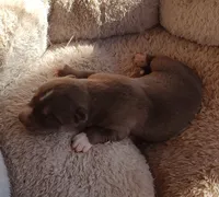 processed/b3855e0e-d49e-4cb9-92c8-9dc77e208558/listing/e012d7dd-5332-479b-b5c1-73b44602d655/7ef85e36-5170-418e-aba2-b371fb3770f8