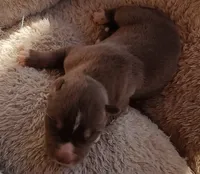 processed/b3855e0e-d49e-4cb9-92c8-9dc77e208558/listing/e012d7dd-5332-479b-b5c1-73b44602d655/964d8659-25c2-4edb-9a39-30e1e94f3ab9