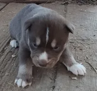 processed/b3855e0e-d49e-4cb9-92c8-9dc77e208558/listing/e012d7dd-5332-479b-b5c1-73b44602d655/aa208978-6e1a-41fc-b27f-dd1add469896