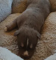 processed/b3855e0e-d49e-4cb9-92c8-9dc77e208558/listing/e012d7dd-5332-479b-b5c1-73b44602d655/c9fa7034-3b50-4a14-85d4-5be367589868