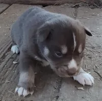 processed/b3855e0e-d49e-4cb9-92c8-9dc77e208558/listing/e012d7dd-5332-479b-b5c1-73b44602d655/e5d5af93-d09b-4c60-84d4-3a29b51b59ad