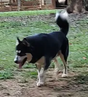 processed/b3855e0e-d49e-4cb9-92c8-9dc77e208558/listing/f0690acd-bd60-4f62-b0c4-15980e3aed35/46c40cbb-01d2-4213-96c8-afa4a0aba7cc