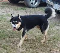 processed/b3855e0e-d49e-4cb9-92c8-9dc77e208558/listing/f0690acd-bd60-4f62-b0c4-15980e3aed35/9de7d619-8b83-4071-8b6f-9a07883827dd