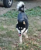 processed/b3855e0e-d49e-4cb9-92c8-9dc77e208558/listing/f0690acd-bd60-4f62-b0c4-15980e3aed35/f8455797-85d9-40f8-8975-45e904cf7470