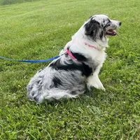 processed/b3871082-470c-4dc8-ad62-d4115581686f/facility/1ec9589a-9f93-4a9c-9328-2224ba088b68