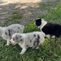 processed/b3871082-470c-4dc8-ad62-d4115581686f/facility/440240f6-1d54-476d-8e5f-e0302bbd1860