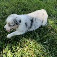 processed/b3871082-470c-4dc8-ad62-d4115581686f/facility/7088cbc9-178b-41a9-ba4c-b60f8fdf26ae