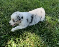 processed/b3871082-470c-4dc8-ad62-d4115581686f/facility/7088cbc9-178b-41a9-ba4c-b60f8fdf26ae