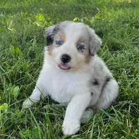 processed/b3871082-470c-4dc8-ad62-d4115581686f/facility/9c0d322b-f7e0-42c7-8438-f0149b0b9ef1