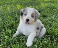 processed/b3871082-470c-4dc8-ad62-d4115581686f/facility/9c0d322b-f7e0-42c7-8438-f0149b0b9ef1