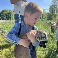 processed/b3871082-470c-4dc8-ad62-d4115581686f/facility/bcea7cff-0397-42e4-a62a-43e8fda09b8f