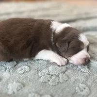 processed/b3871082-470c-4dc8-ad62-d4115581686f/facility/c4f44948-43f0-4bcf-8b76-5f21c3d7e960