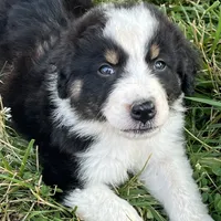 processed/b3871082-470c-4dc8-ad62-d4115581686f/facility/dadf5258-6ac4-4144-9eee-419ea3be98cc