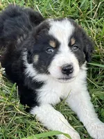 processed/b3871082-470c-4dc8-ad62-d4115581686f/facility/dadf5258-6ac4-4144-9eee-419ea3be98cc