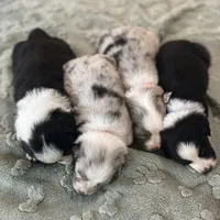 processed/b3871082-470c-4dc8-ad62-d4115581686f/facility/e9dd7dd8-ff59-45c1-b038-5ad307953ce6