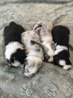 processed/b3871082-470c-4dc8-ad62-d4115581686f/facility/e9dd7dd8-ff59-45c1-b038-5ad307953ce6