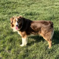 processed/b3871082-470c-4dc8-ad62-d4115581686f/facility/efa975c2-0063-4594-ad94-98805d78c7f8