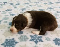 processed/b3871082-470c-4dc8-ad62-d4115581686f/listing/08f75300-295b-4fe4-9cb9-0a32e861d8ba/d7e90270-bf56-4145-aa92-10e4d81c2a6a