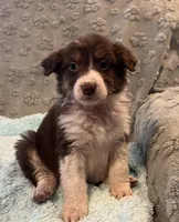 processed/b3871082-470c-4dc8-ad62-d4115581686f/listing/08f75300-295b-4fe4-9cb9-0a32e861d8ba/e9426f70-9ff7-4572-97f6-5fc5396e86e0