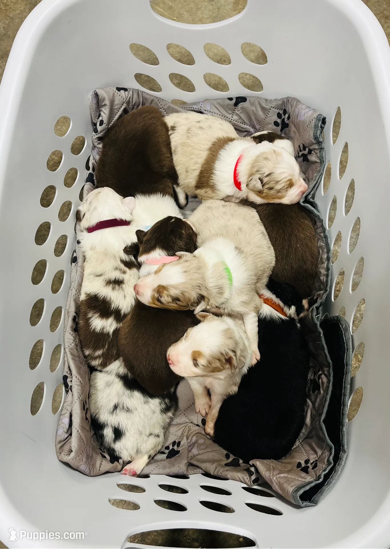 processed/b3871082-470c-4dc8-ad62-d4115581686f/listing/1c8b5b5b-7501-4ab4-bb90-fe3676ece2b1/36846c5c-6b46-493e-9c36-e342f27b9c60