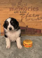 processed/b3871082-470c-4dc8-ad62-d4115581686f/listing/1c8b5b5b-7501-4ab4-bb90-fe3676ece2b1/4ebf4845-5f99-483f-9dc8-03d892f28afa