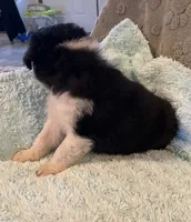 processed/b3871082-470c-4dc8-ad62-d4115581686f/listing/1c8b5b5b-7501-4ab4-bb90-fe3676ece2b1/a3ef8c93-e01f-4460-955e-1d46fddcbc85