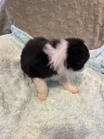 processed/b3871082-470c-4dc8-ad62-d4115581686f/listing/1c8b5b5b-7501-4ab4-bb90-fe3676ece2b1/d60dfd3c-ca05-468e-8862-e487bfe5168b