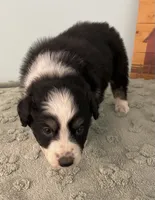 processed/b3871082-470c-4dc8-ad62-d4115581686f/listing/1c8b5b5b-7501-4ab4-bb90-fe3676ece2b1/e0837f58-b20b-4142-9d86-8c8c484dc927