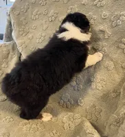 processed/b3871082-470c-4dc8-ad62-d4115581686f/listing/1c8b5b5b-7501-4ab4-bb90-fe3676ece2b1/f2702fd0-b472-46da-ada5-bd6181e36e08