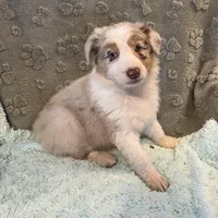 processed/b3871082-470c-4dc8-ad62-d4115581686f/listing/82e55d5f-5e07-417d-8568-78543d560982/2f061945-9860-4b9e-8ab9-3102a82ae4eb