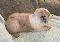 processed/b3871082-470c-4dc8-ad62-d4115581686f/listing/82e55d5f-5e07-417d-8568-78543d560982/410227ad-a460-44d9-ba56-6feab4558bb3