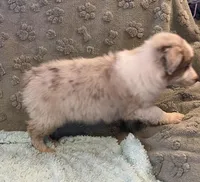 processed/b3871082-470c-4dc8-ad62-d4115581686f/listing/82e55d5f-5e07-417d-8568-78543d560982/ec47b81d-5625-4720-bd35-87ca08d98725