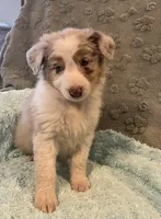 processed/b3871082-470c-4dc8-ad62-d4115581686f/listing/82e55d5f-5e07-417d-8568-78543d560982/fc26ba2c-c3ff-4b5e-b421-d63130f357b1