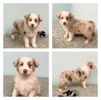 processed/b3871082-470c-4dc8-ad62-d4115581686f/listing/d4cb012c-f2eb-44ad-b91a-a3233850111c/35428662-3fd3-4277-b49d-26ea23c0fe46