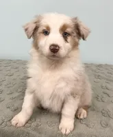 processed/b3871082-470c-4dc8-ad62-d4115581686f/listing/d4cb012c-f2eb-44ad-b91a-a3233850111c/41bc4fd7-9c51-402e-986d-674509d7284b