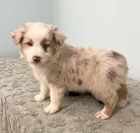 processed/b3871082-470c-4dc8-ad62-d4115581686f/listing/d4cb012c-f2eb-44ad-b91a-a3233850111c/76d3f224-7080-4f4e-bdbc-b011c4d2ff0b