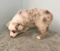 processed/b3871082-470c-4dc8-ad62-d4115581686f/listing/d4cb012c-f2eb-44ad-b91a-a3233850111c/ee5c9fba-44d4-4bfd-afbd-14d95a0645af