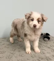 processed/b3871082-470c-4dc8-ad62-d4115581686f/listing/d4cb012c-f2eb-44ad-b91a-a3233850111c/f607c426-8913-4bb0-9003-c4772d939300