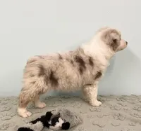 processed/b3871082-470c-4dc8-ad62-d4115581686f/listing/d4cb012c-f2eb-44ad-b91a-a3233850111c/fef40ec4-8f8a-47d7-9d72-cc2f9e32c868