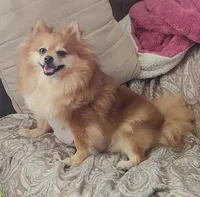 processed/b3910075-e7e0-4eb7-b381-a6483c4757b8/facility/043920ad-f73e-4b79-ade6-5fa4b0f74292