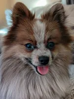 processed/b3910075-e7e0-4eb7-b381-a6483c4757b8/facility/11dae668-0a01-4a26-874e-d641b0629b6e